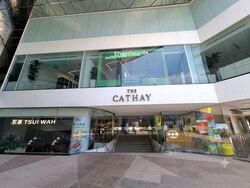 The Cathay (D9), Shop House #624999911